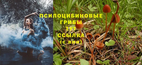 СК Осташков