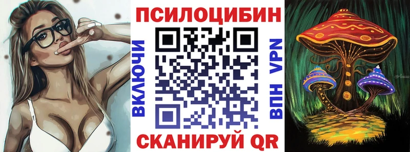 kraken маркетплейс  Чебоксары  Галлюциногенные грибы Psilocybine cubensis 