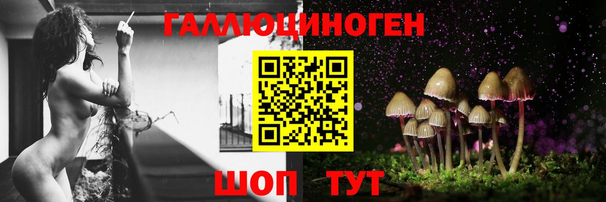 Чебоксары  Галлюциногенные грибы ЛСД  Галлюциногенные грибы Magic Shrooms  Вход с VPN 