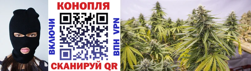 Шишки марихуана SATIVA & INDICA  darknet клад  Чебоксары 